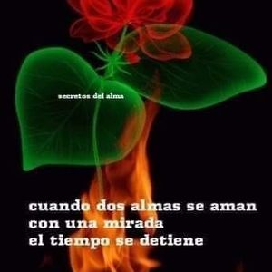 Meet your Posher, Lidia